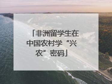 非洲留学生在中国农村学“兴农”密码