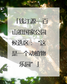 钱江源—百山祖国家公园候选区：“这是一个动植物乐园”