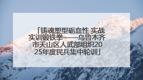 铸魂塑型砺血性 实战实训锻铁拳——乌鲁木齐市天山区人武部组织2025年度民兵集中轮训
