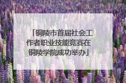 铜陵市首届社会工作者职业技能竞赛在铜陵学院成功举办