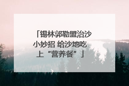 锡林郭勒盟治沙小妙招 给沙地吃上“营养餐”