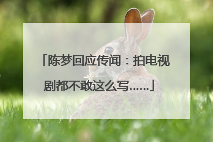 陈梦回应传闻：拍电视剧都不敢这么写……