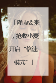 降雨要来，抢收小麦开启“倍速模式”