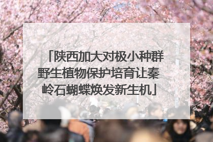 陕西加大对极小种群野生植物保护培育让秦岭石蝴蝶焕发新生机