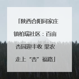 陕西合阳同家庄镇柏瑞社区：百亩杏园迎丰收 果农走上“杏”福路