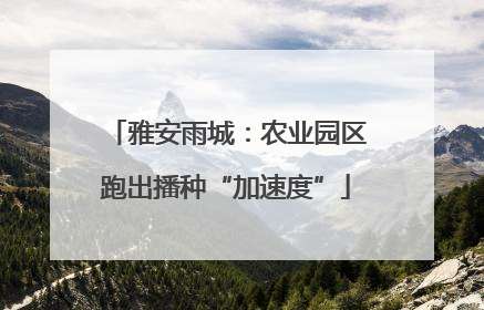 雅安雨城：农业园区跑出播种“加速度”