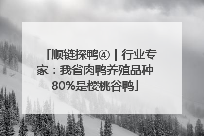 顺链探鸭④｜行业专家：我省肉鸭养殖品种80%是樱桃谷鸭
