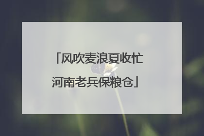 风吹麦浪夏收忙 河南老兵保粮仓