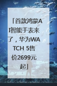首款鸿蒙AI智能手表来了，华为WATCH 5售价2699元起