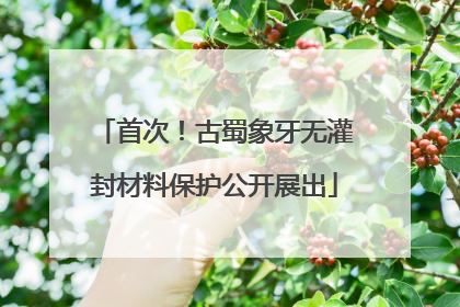 首次！古蜀象牙无灌封材料保护公开展出