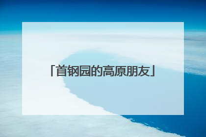 首钢园的高原朋友