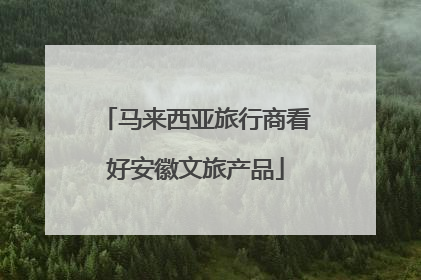 马来西亚旅行商看好安徽文旅产品