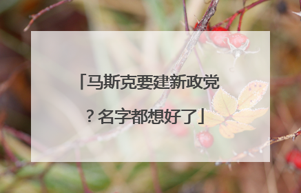 马斯克要建新政党？名字都想好了