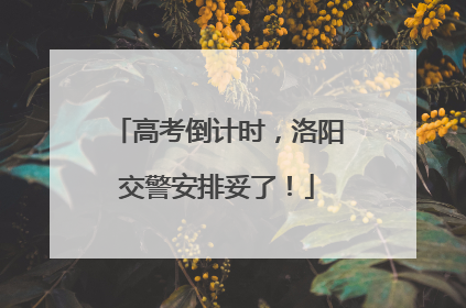 高考倒计时，洛阳交警安排妥了！