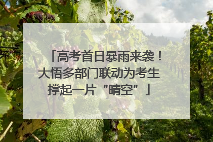 高考首日暴雨来袭！大悟多部门联动为考生撑起一片“晴空”