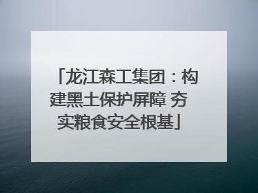 龙江森工集团：构建黑土保护屏障 夯实粮食安全根基