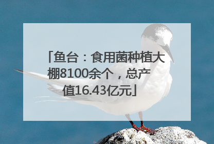 鱼台：食用菌种植大棚8100余个，总产值16.43亿元