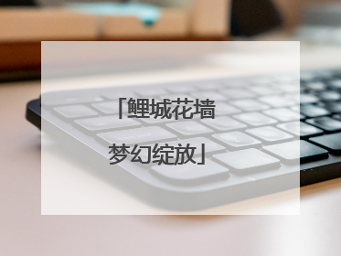 鲤城花墙 梦幻绽放