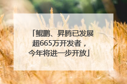 鲲鹏、昇腾已发展超665万开发者，今年将进一步开放