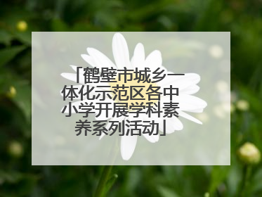 鹤壁市城乡一体化示范区各中小学开展学科素养系列活动