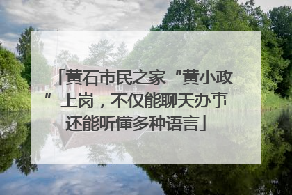 黄石市民之家“黄小政”上岗，不仅能聊天办事还能听懂多种语言
