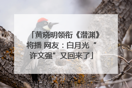 黄晓明领衔《潜渊》将播 网友：白月光“许文强”又回来了