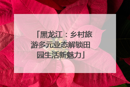 黑龙江：乡村旅游多元业态解锁田园生活新魅力