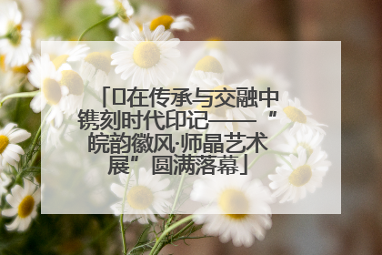 ﻿在传承与交融中镌刻时代印记——“皖韵徽风·师晶艺术展”圆满落幕