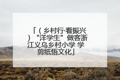 （乡村行·看振兴）“洋学生”做客浙江义乌乡村小学 学剪纸悟文化