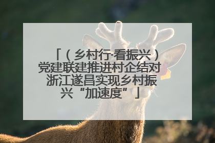 （乡村行·看振兴）党建联建推进村企结对 浙江遂昌实现乡村振兴“加速度”