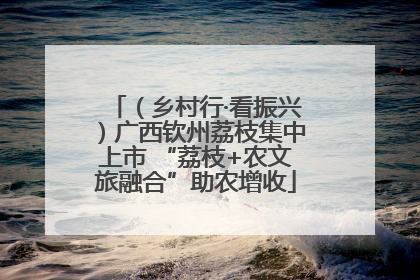 （乡村行·看振兴）广西钦州荔枝集中上市 “荔枝+农文旅融合”助农增收