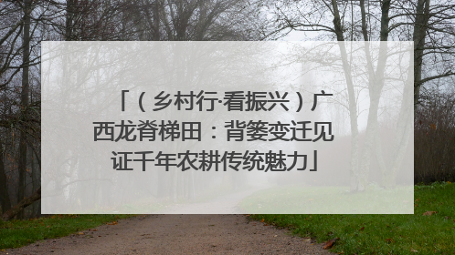 （乡村行·看振兴）广西龙脊梯田：背篓变迁见证千年农耕传统魅力