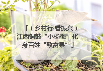 （乡村行·看振兴）江西铜鼓“小杨梅”化身百姓“致富果”