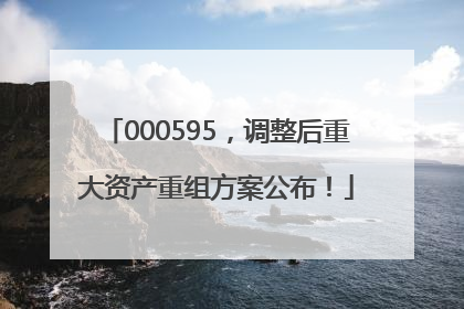 000595，调整后重大资产重组方案公布！