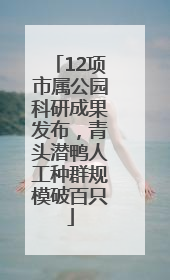 12项市属公园科研成果发布，青头潜鸭人工种群规模破百只