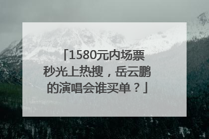 1580元内场票秒光上热搜，岳云鹏的演唱会谁买单？