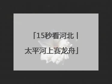 15秒看河北丨太平河上赛龙舟
