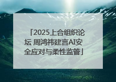 2025上合组织论坛 周鸿祎建言AI安全应对与柔性监管