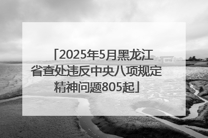 2025年5月黑龙江省查处违反中央八项规定精神问题805起