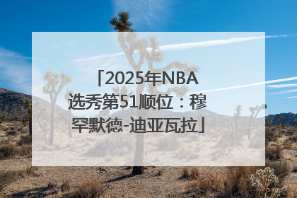 2025年NBA选秀第51顺位：穆罕默德-迪亚瓦拉
