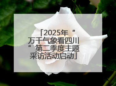 2025年“万千气象看四川”第二季度主题采访活动启动