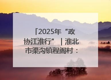 2025年“政协江淮行”｜淮北市渠沟镇程阁村：“生态痛点”变“生态景观”