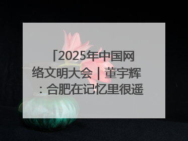 2025年中国网络文明大会｜董宇辉：合肥在记忆里很遥远也很亲切