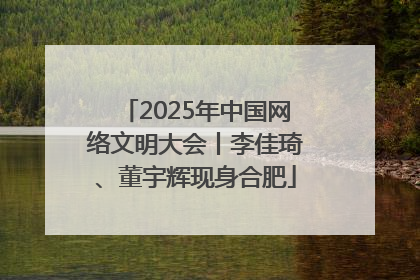 2025年中国网络文明大会丨李佳琦、董宇辉现身合肥