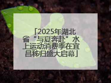 2025年湖北省“与夏奔赴”水上运动消费季在宜昌秭归盛大启幕