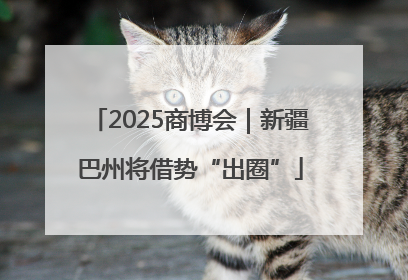 2025商博会｜新疆巴州将借势“出圈”