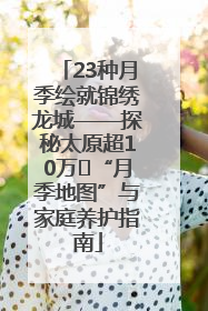 23种月季绘就锦绣龙城——探秘太原超10万㎡“月季地图”与家庭养护指南