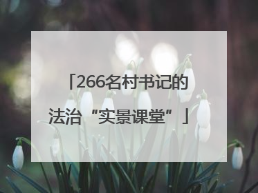 266名村书记的法治“实景课堂”