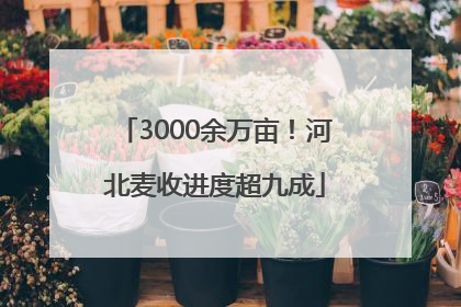 3000余万亩！河北麦收进度超九成