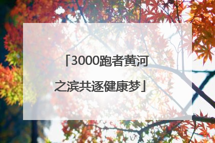 3000跑者黄河之滨共逐健康梦